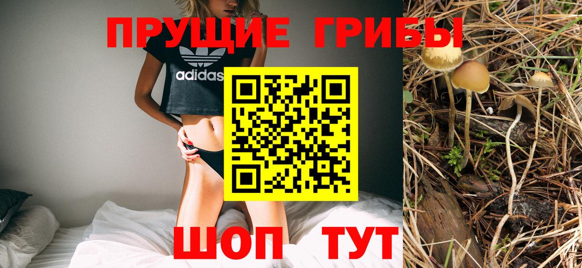 Галлюциногенные грибы прущие грибы  Вход с VPN  Балашиха  Псилоцибиновые грибы Psilocybine cubensis 